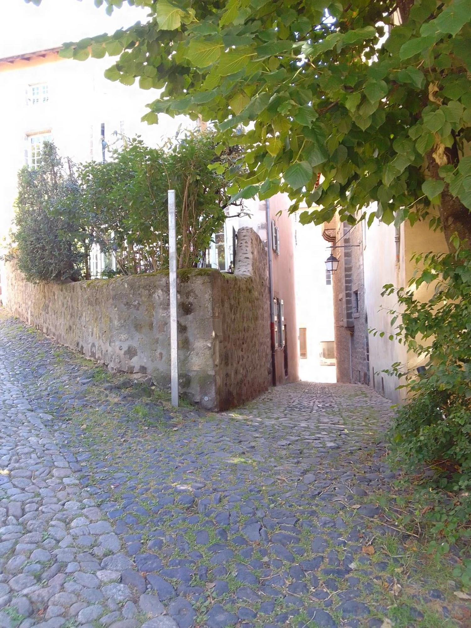 Le Relax Max Lägenhet Le Puy-en-Velay Rum bild